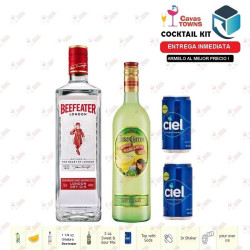 Ginebra Beefeater Cocktail Kit Collins Receta Recipe - Cavas Towns