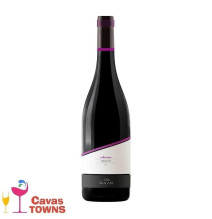 Vino Tinto Dragani Merlot 750 ml - Cavas Towns