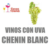 Vinos Con Uva Chenin Blanc - Cavas Towns