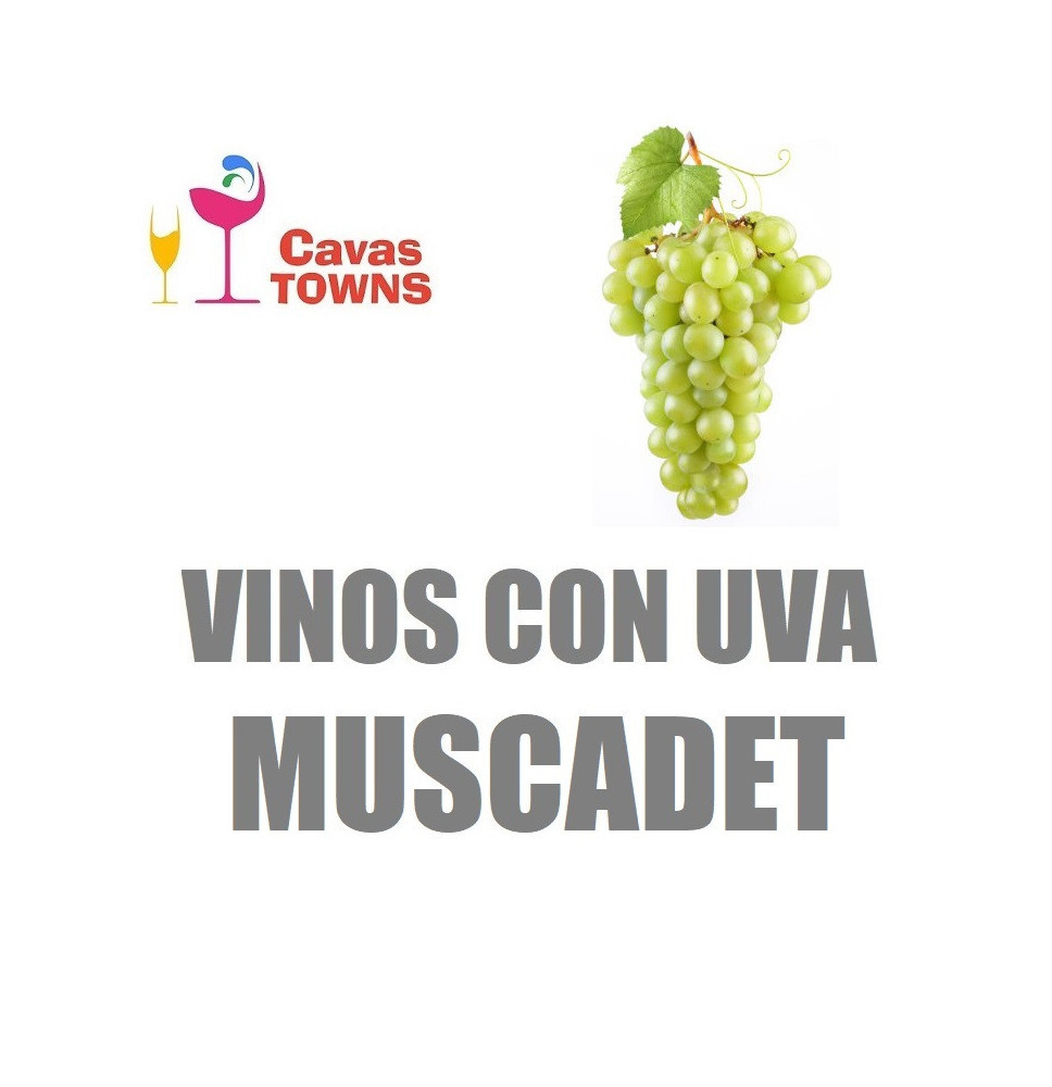 Vinos Con Uva Muscadet - Cavas Towns Vinos Con Uva Muscadet - Cavas Towns