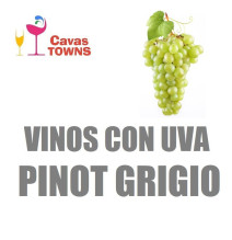 Vinos Con Uva Pinot Grigio - Cavas Towns