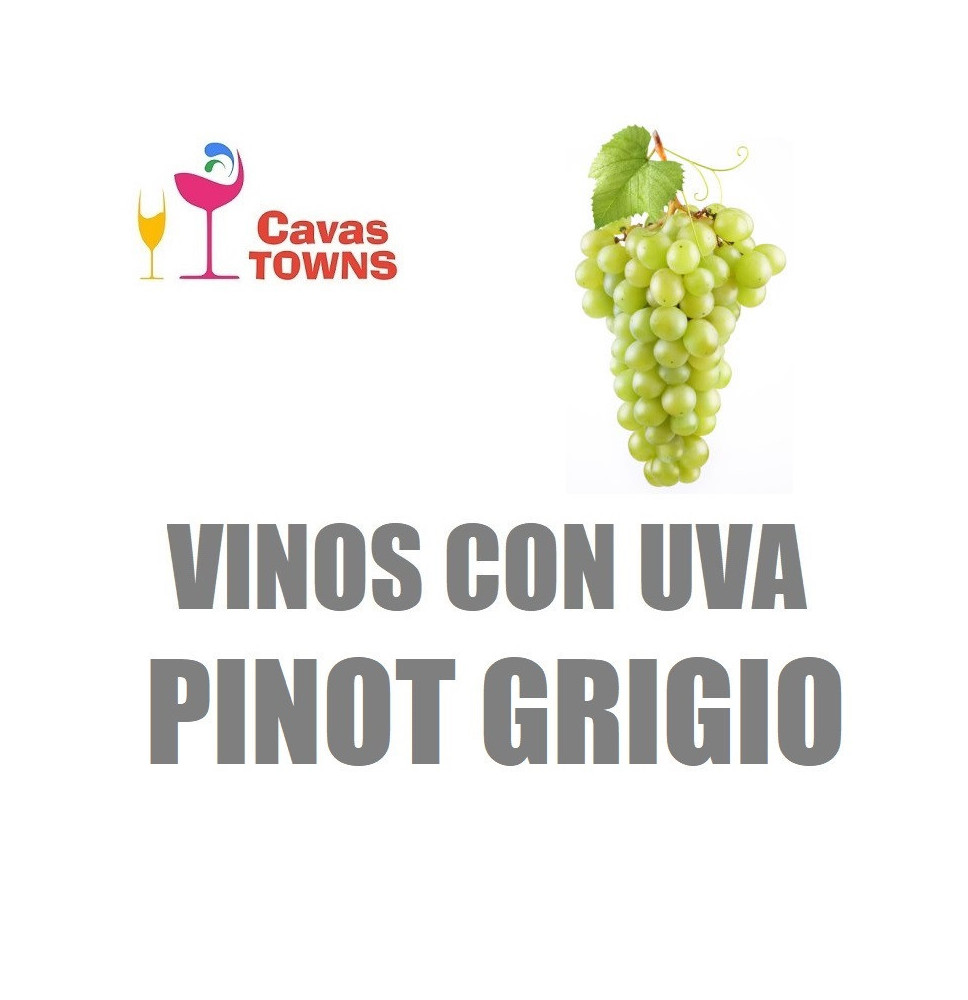 Vinos Con Uva Pinot Grigio - Cavas Towns Vinos Con Uva Pinot Grigio - Cavas Towns