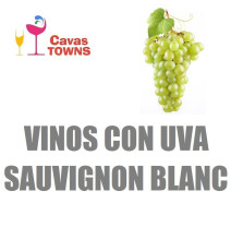 Vinos Con Uva Sauvignon Blanc - Cavas Towns