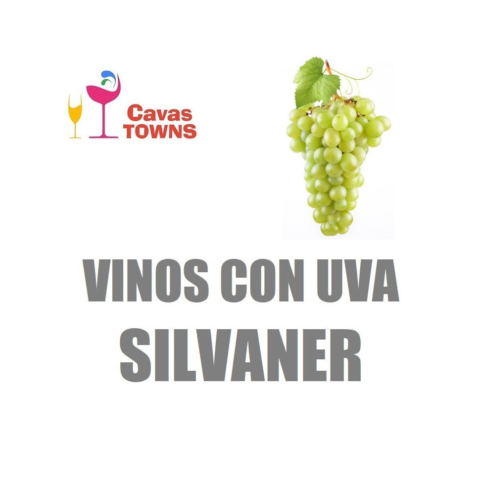 Vinos Con Uva Silvaner - Cavas Towns Vinos Con Uva Silvaner - Cavas Towns