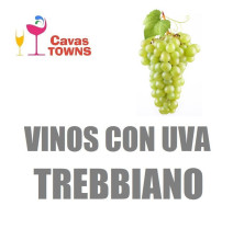 Vinos Con Uva Trebbiano - Cavas Towns