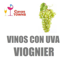 Vinos Con Uva Viognier - Cavas Towns