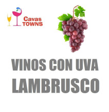 Vinos Con Uva Lambrusco - Cavas Towns