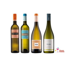 Vino S-Naia Sauvignon Blanc Rueda 750 ml - Cavas Towns Vino S-Naia Sauvignon Blanc Rueda 750 ml - Cavas Towns