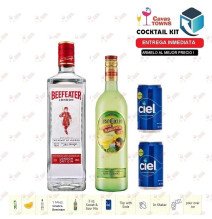 Ginebra Beefeater Cocktail Kit Collins Receta Recipe - Cavas Towns