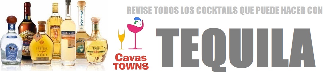 Cocktails elaborados con tequila