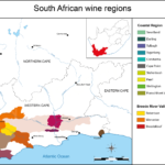 Vinos Sudafricanos
