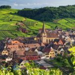 Discover the Wines of Alsace