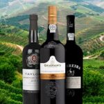 Know PORT Wine? You Will Fall in LOVE with Porto & the Douro Valley!