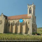 The Wines of Burgundy