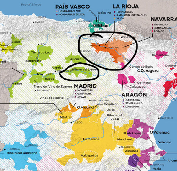 Iconic Red Wines of Spain | Ribera del Duero
